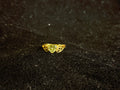 AD Ring