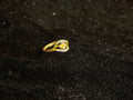 AD Ring