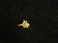 AD Ring
