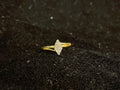 AD Ring