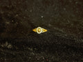 AD Ring