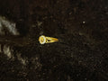 AD Ring