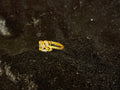 AD Ring